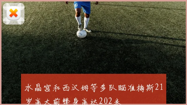水晶宫和西汉姆等多队瞄准梅斯21岁高大前锋身高达202米